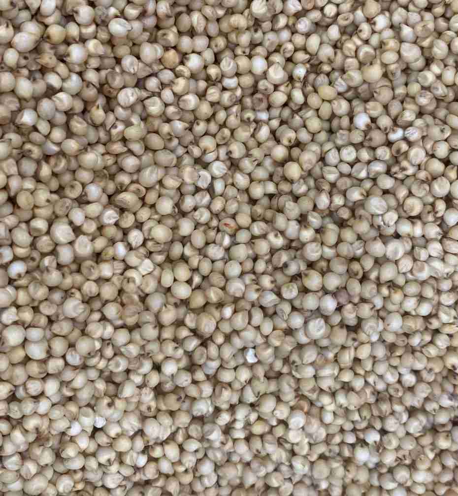 HYBRID JAWAR 1KG Loose